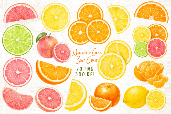 Download Watercolor Citrus Slice Clipart PNG - Png Collection