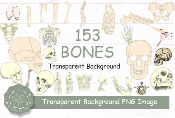 Download Bones Clipart PNG Transparent Background - Png Collection