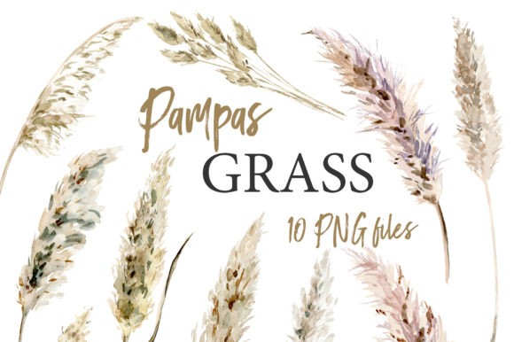 Download Pampas Grass Watercolor Boho Clipart - Boho Collection
