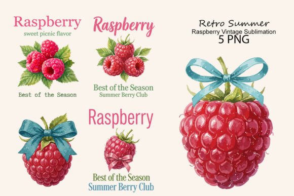 Download Retro Summer Raspberry Vintage PNG - Png Collection